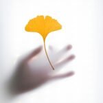 a hand holding a yellow leaf on a white background